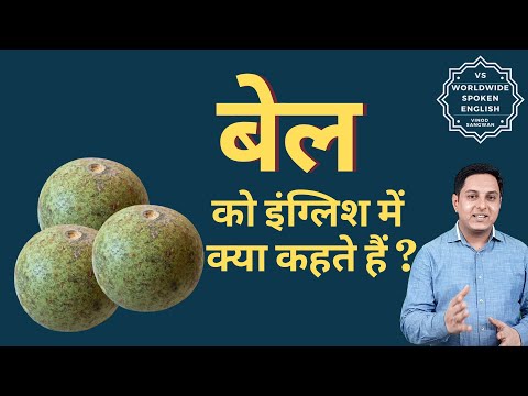 वीडियो: बेला को अंग्रेजी में क्या कहते हैं?