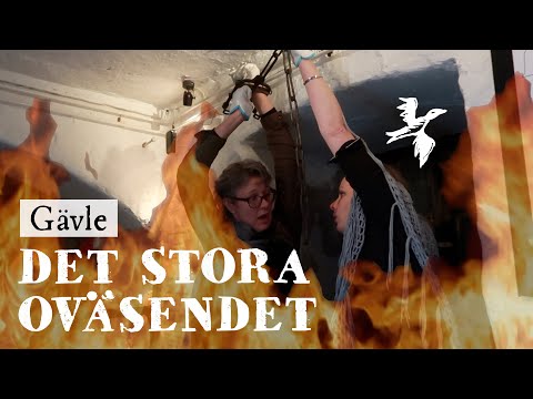 Video: Vad är 