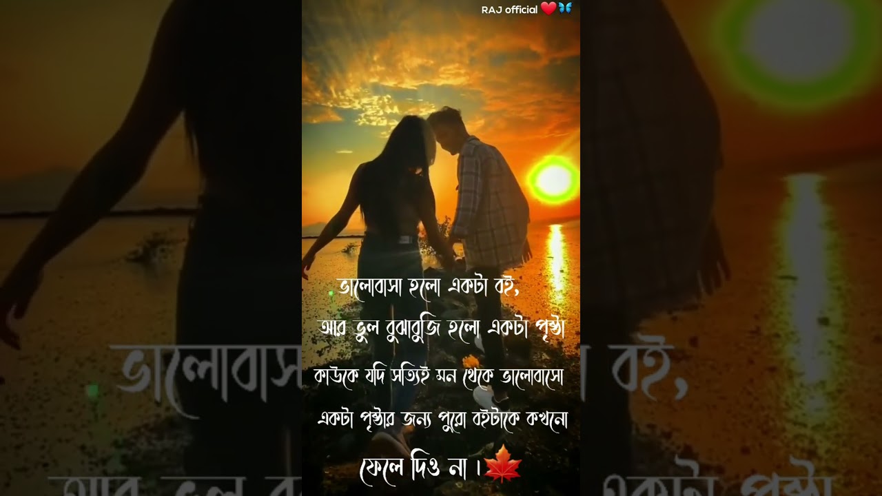 ভালোবাসা হলো একটা বই?❤️? Bengali Romantic Status Video❤️ #shorts #romantic #short #sad #trending
