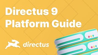 Directus 9 — Platform Overview