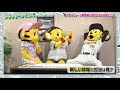【トラッキータイムズ】年末大スクープ!海外で暮らす『トラッキーの弟』が2025年1月に緊急帰国!? #ゼロカーボンベースボールパーク 開業に向け、トラッキー・ラッキー・キー太に新たな仲間が加わります!