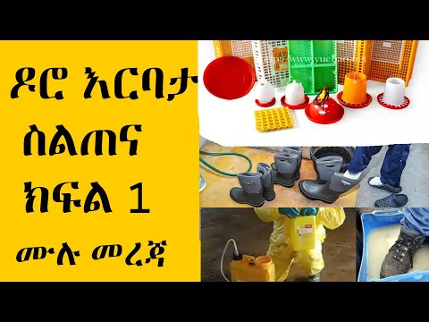 ቪዲዮ: ሁኔታዎችን ለመፍጠር እና በአገሪቱ ውስጥ አነስተኛ የዶሮ እርባታ እንዴት እንደሚንከባከቡ (ክፍል 1)