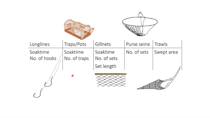 Calculating Hanging Ratio for gill nets - Definition and Explanation 