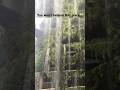 You won’t believe this place exists#travel #nature #waterfall