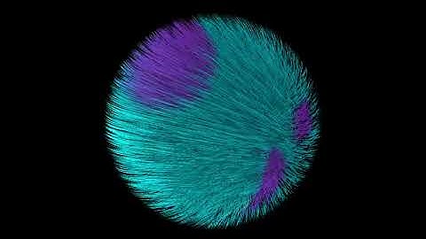 Creating procedural hair with a Metal compute shader.