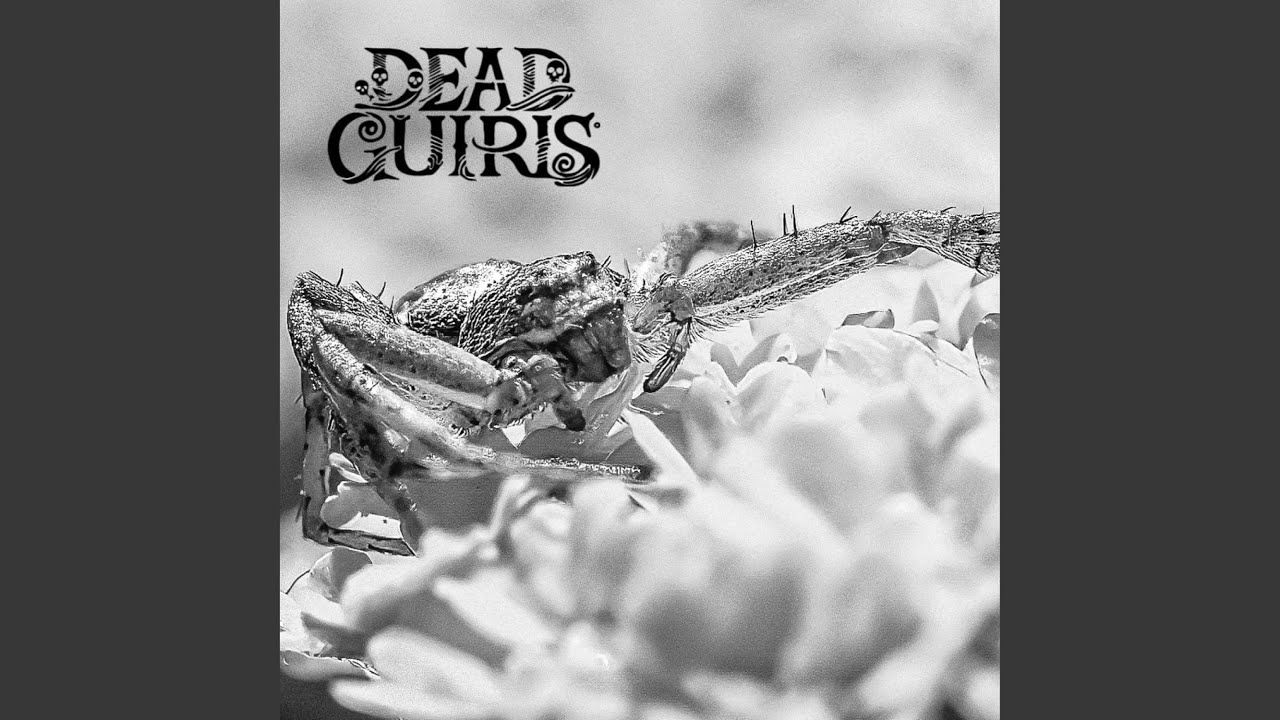Watch Cold Grin on YouTube Watch Cold Grin on YouTube