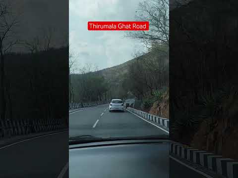 శ్రీనివాస కృపాకటాక్ష సిద్ధిరస్తు 🙏🛣️ #ghatroad #thirumala #thirupathi #govinda #sreehachannel