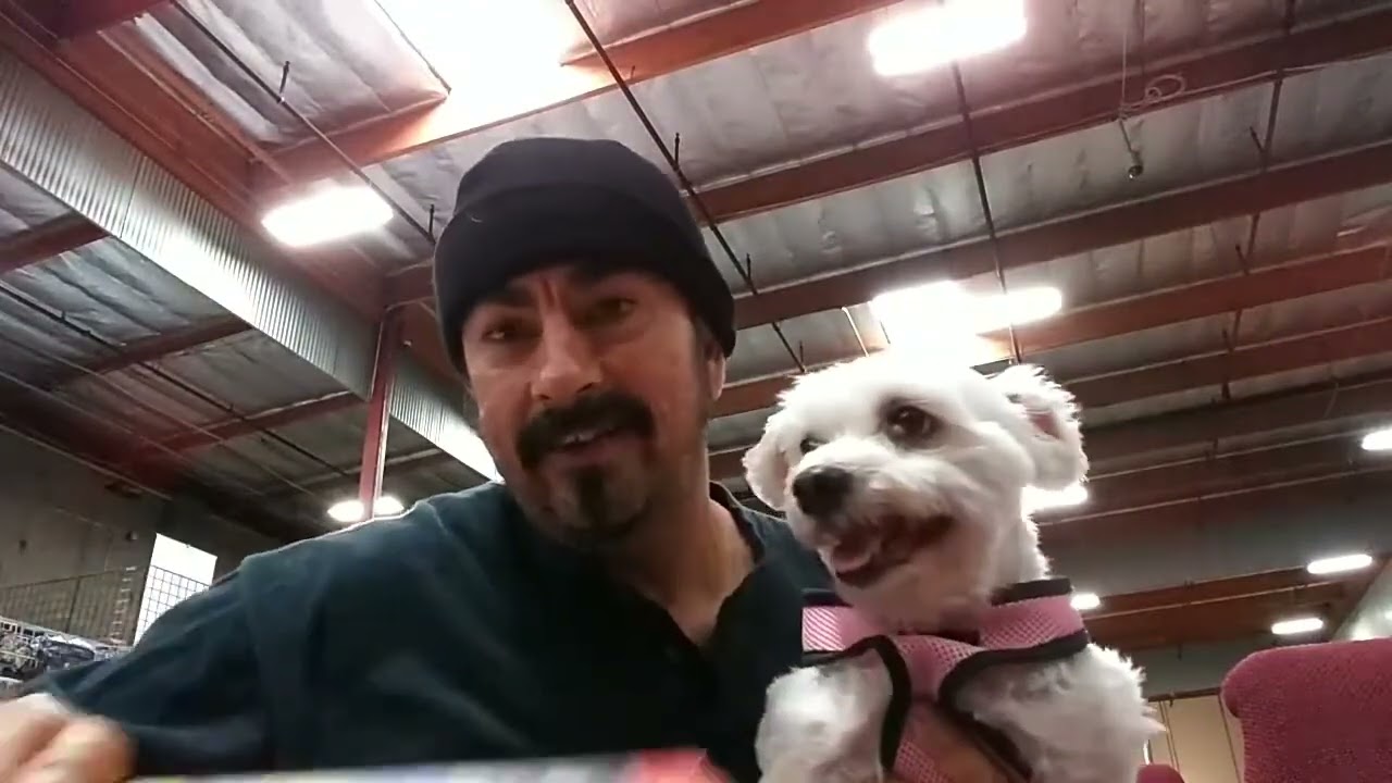 Вытащил свою первую машину с Lumpy Space Princess