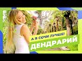 Дендрарий &amp; Южные культуры. Где бьется «зеленое» сердце Сочи? | «А в Сочи лучше» (11 выпуск)