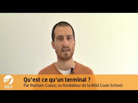 Vidéo: Qu'est-ce qu'une application de terminal Android ?