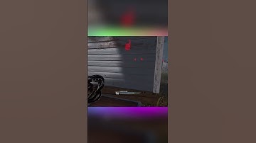 Leon delivers himself to Wesker