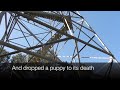 Puppy dropped 100 feet to its death from fire lookout tower