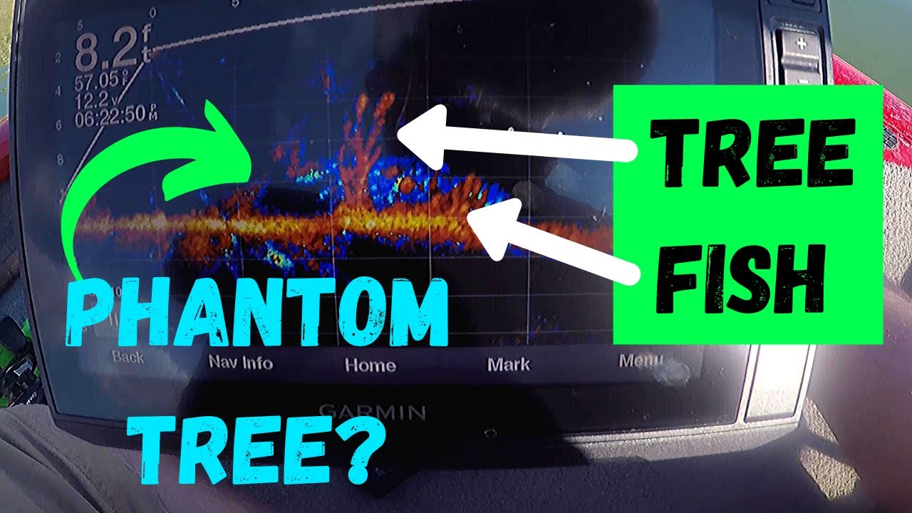 Best panoptix setup Clearance