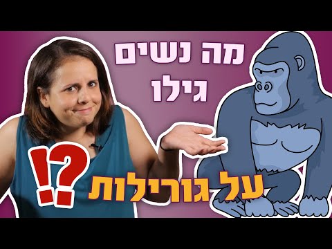 וִידֵאוֹ: מדוע מבני החזרה חשובים לתכנות?