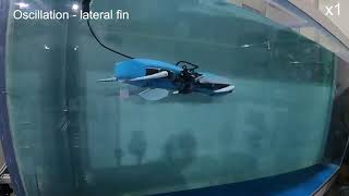 Development of Bioinspired Multimodal Underwater Robot “HERO-BLUE” for Walking, Swimming, and screenshot 2