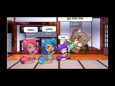 uwu kitty cat moans 😳😩