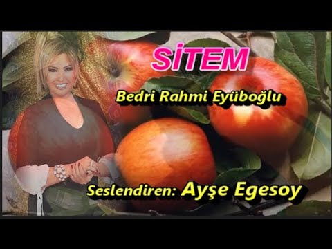 Ayşe Egesoy || SİTEM  || Şiir:  Bedri Rahmi Eyüboğlu