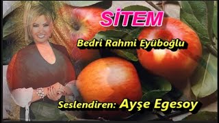 Ayşe Egesoy || SİTEM  || Şiir:  Bedri Rahmi Eyüboğlu Resimi