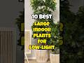 Best large indoor plants for low light ✅#houseplants #short Mp3 Song
