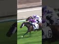 6 | HAPPY BOSS | L Ferraris | #Ferraris #Horse #Racing #Sport #Results #賽馬結果 #马會 #油管 #赛马结果