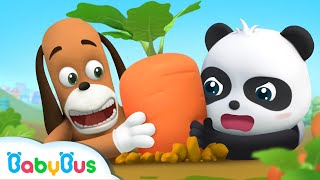 หัวไซเท้าของคุณแม็กซ์หายไป | ตามจับหัวไซเท้า | การ์ตูนเด็ก | เบบี้บัส | Kids Cartoon | BabyBus