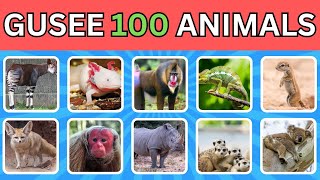 Guess 100 Animals in 5 Seconds | Easy, Medium, Hard, Impossible
