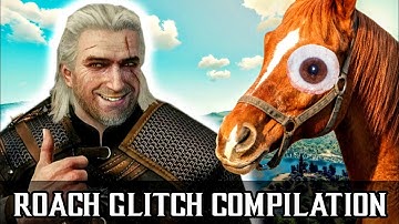 Roach GLITCH Compilation - The Witcher 3: Wild Hunt