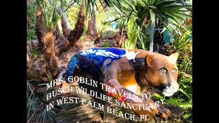 Mrs. Goblin Travels to Busch Wildlife Sanctuary in West Palm Beach, Florida