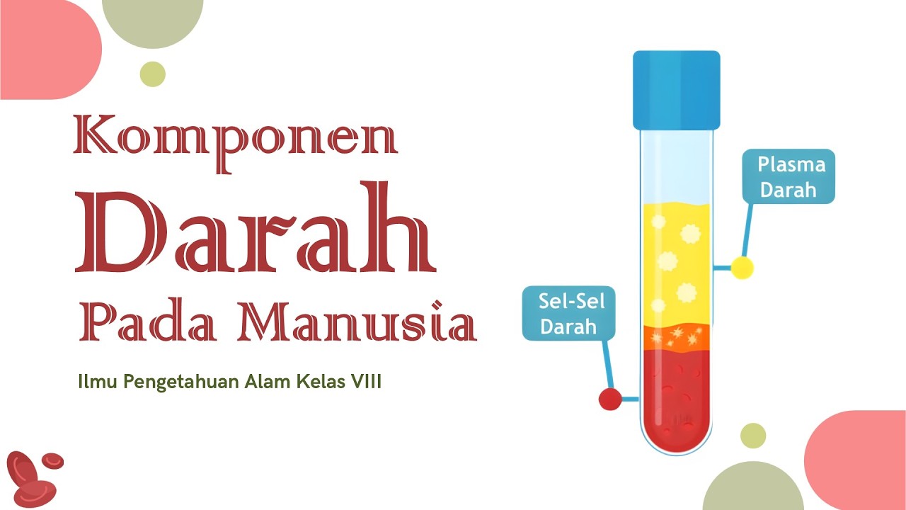 Komponen Darah Pada Manusia Ipa Kelas 8 (Bio Sains)