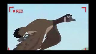 Family Guy Canadian Goose Nickels