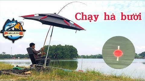 Câu lục l Test thính trắm đen mùa đông phủi 2 tại hồ Nông Lâm