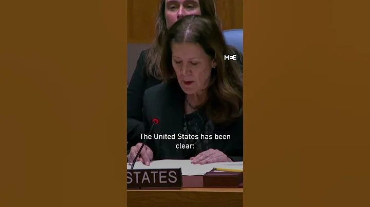 US blocks UN Security Council resolution demanding Gaza ceasefire