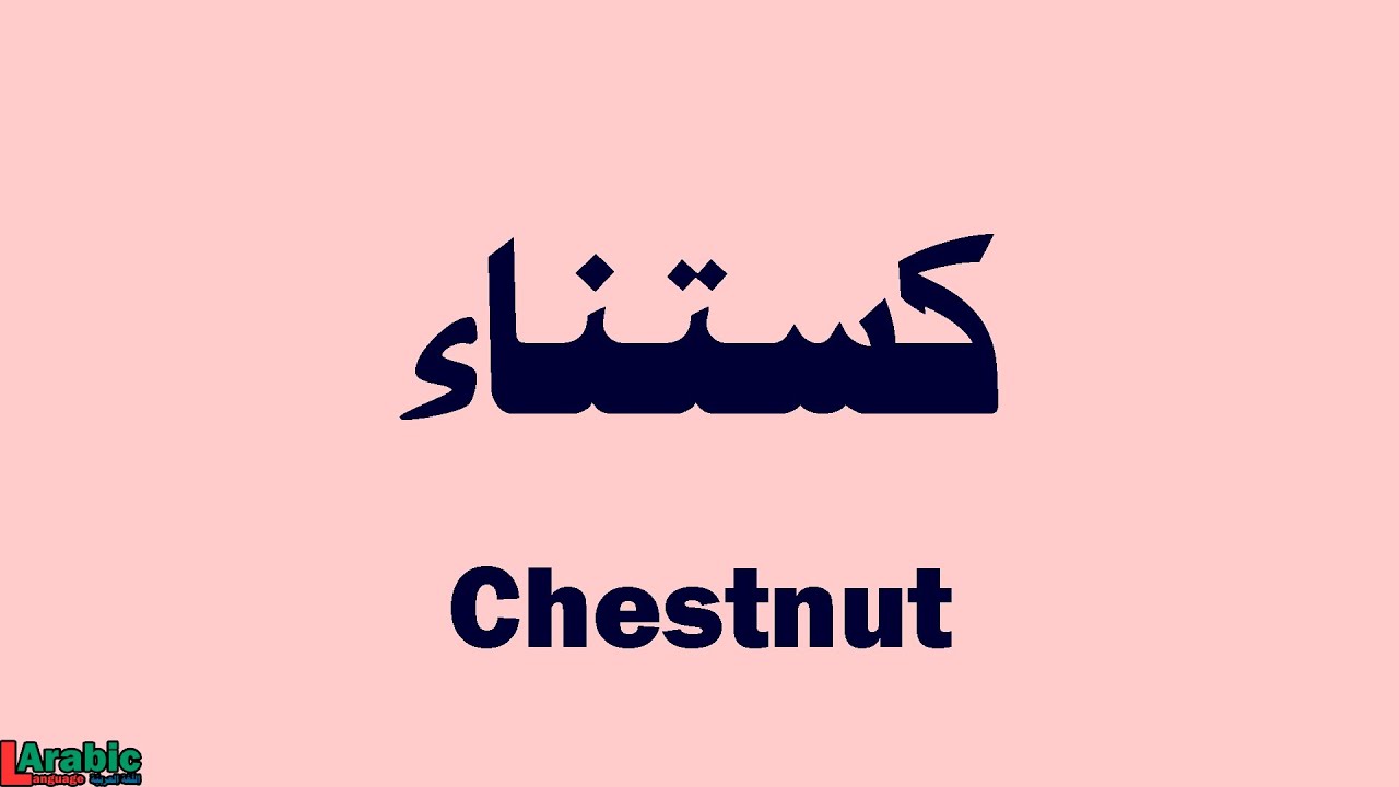 How to say Chestnut in Arabic YouTube