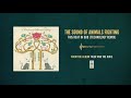 The Sound of Animals Fighting "This Heat In Dub (Technology Remix)"