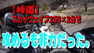 【スカイウェイブ250】ビクスクでも峠道は楽しめるのか！試してみた。