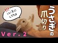 うさぎの爪切りＶｅｒ．２