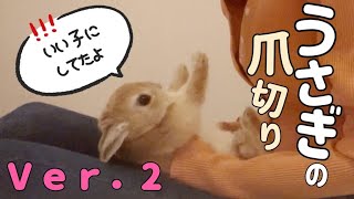 うさぎの爪切りＶｅｒ．２