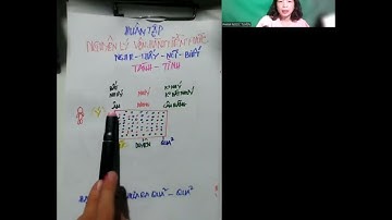 TVHL Nguyên Lý Vận Hành Của Tiềm Thức | Phạm Ngọc Tuyền