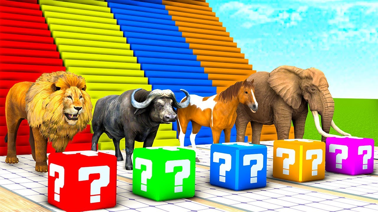 Long Slide Game With Lion Gorilla Buffalo Elephant T-Rex - funny 3D animals - 3D animal game