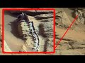 Encuentran fósil de reptil antiguo incrustado en una roca en la superficie de marte Curiosity | Mars