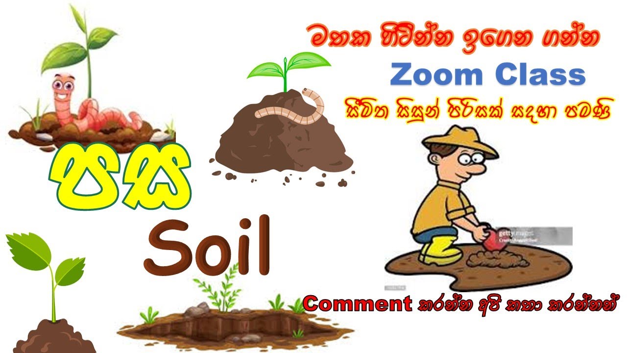 පස/Soil 