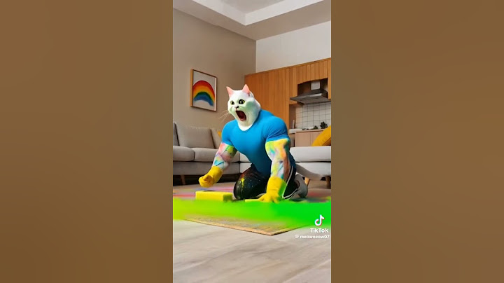 O gato estragou a casa