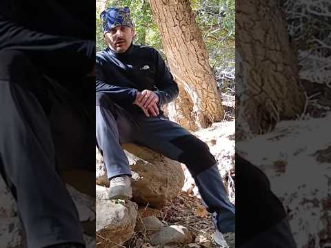 کفش مناسب کوهنوردی و طبیعتگردی کفش کوهنوردی هامتو کفش کوهنوردی هامتو کفش هامتو