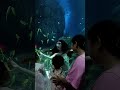 美人鱼表演[话题 #swimmin #cos #swimming #mermaidpool #viral #swim #farming #kpop #bull