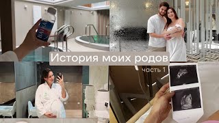 видео: История моих родов: Сестрорецкий роддом, дородовое отделение, сутки до родов с десертами и в джакузи картинка: История моих родов: Сестрорецкий роддом, дородовое отделение, сутки до родов с десертами и в джакузи