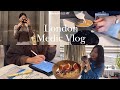  med school vlog  last week on oncology losing things  new kitten friend   