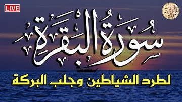 سورة البقرة كاملة لحفظ وتحصين المنزل وطرد الشياطين تلاوة عذبة هادئة Sourah Baqara