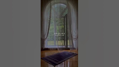 سورة الحجرات. القارئ عبد الرحمن مسعد #quran #fyp #viral #explore