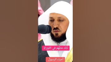 محَمَّدٌ رَّسُولُ اللَّهِ(ص) ❤️ سورة الفتح ❤️ ماهر المعيقلي