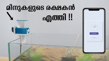 Aquassist | Automatic Fish Feeder with Companion App | DIY | Wemos D1 Mini | Coders Cafe Malayalam